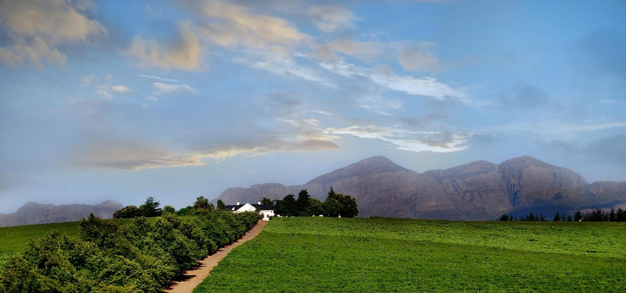 Bakenhof Winelands Lodge Paarl Ngoại thất bức ảnh