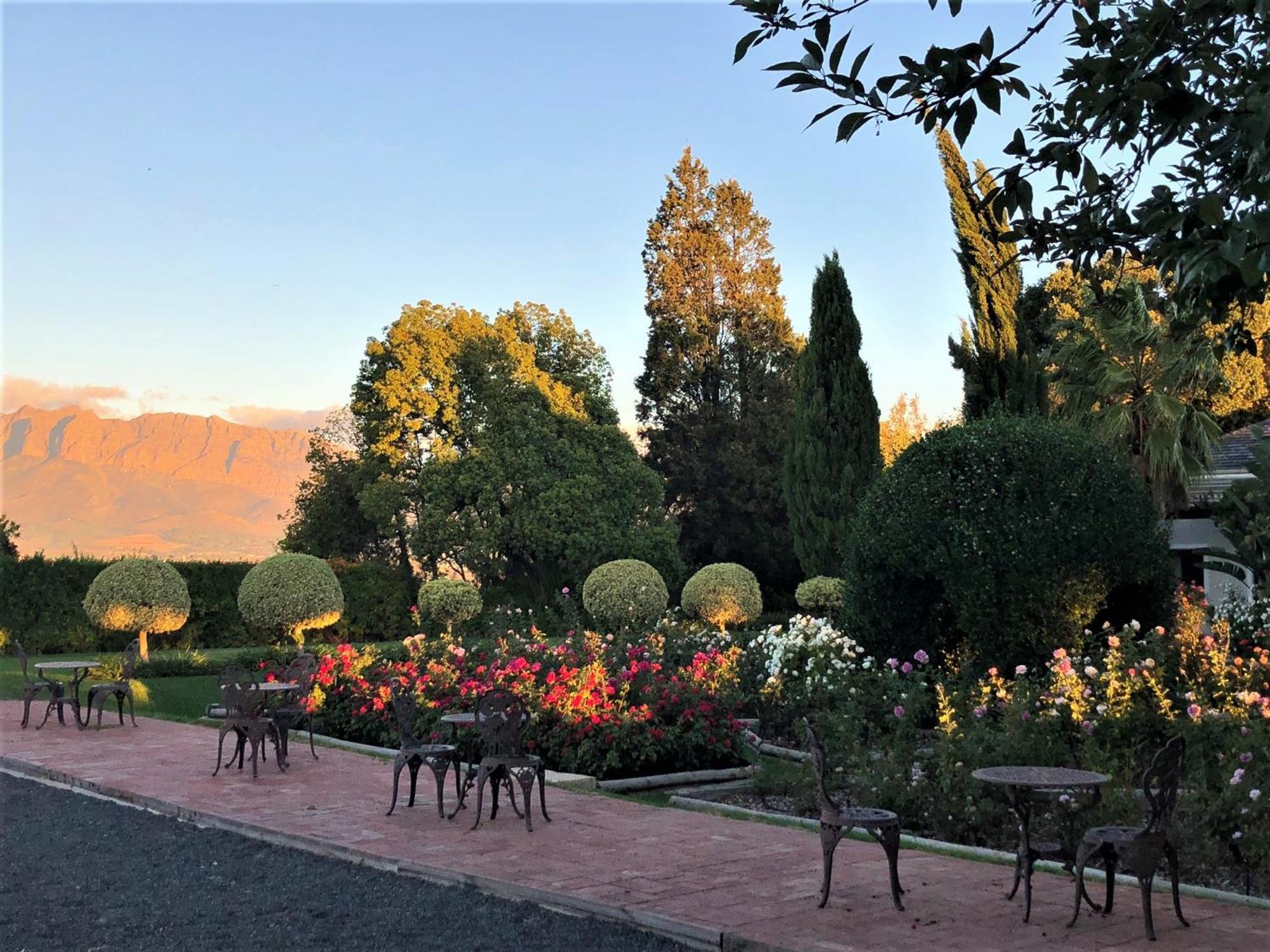 Bakenhof Winelands Lodge Paarl Ngoại thất bức ảnh